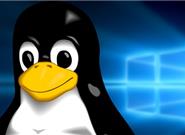 韩国政府尝试从Win7切换到Linux系统