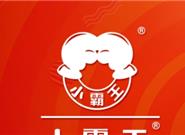 小霸王官方宣布回归游戏机：再不仿造侵权