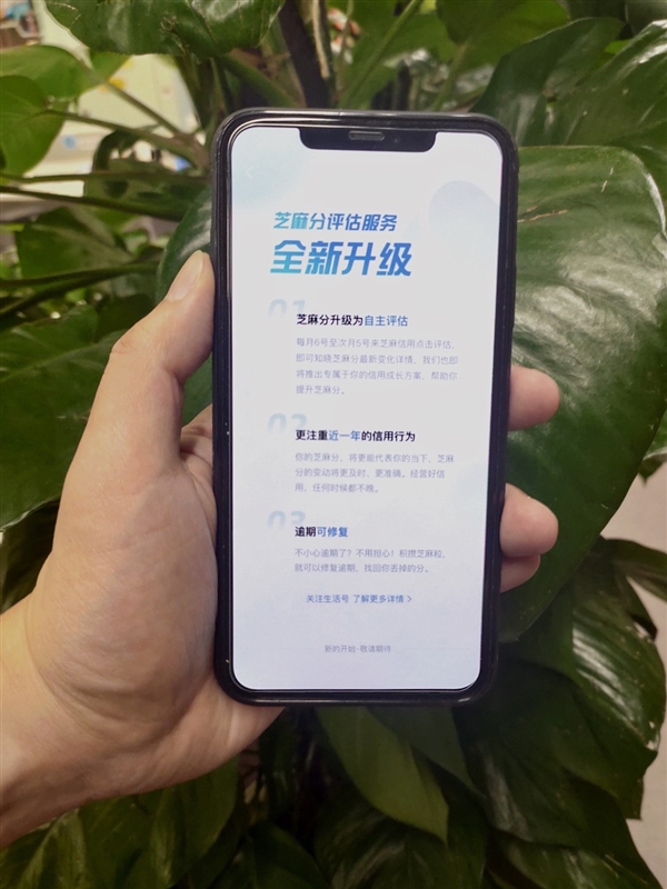 快看看！芝麻分升级评估维度：你的分涨了还是跌了？
