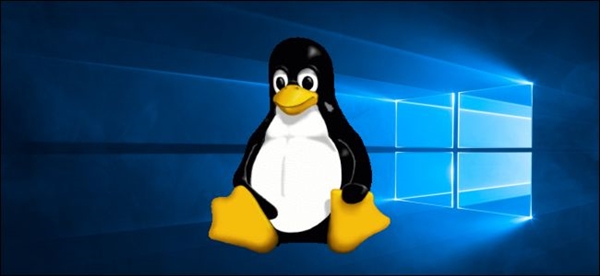拒绝付费软件！德国第二大城市汉堡考虑从Windows迁移到Linux