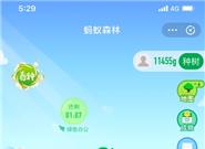 支付宝上线新功能：能看见自己种的树了！