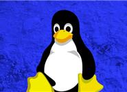 Linux重量级更新！AMD成最大赢家