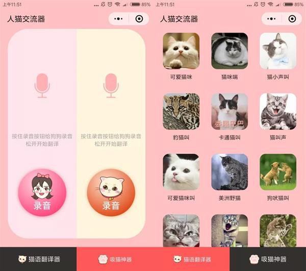 几款“吸猫”微信小程序：人猫交流器亮了