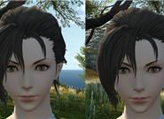 大神放出《最终幻想14》“海飞丝”MOD