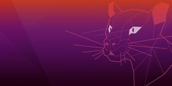 Ubuntu 20.04终极测试版发布：包用5年